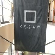 202504080klf2